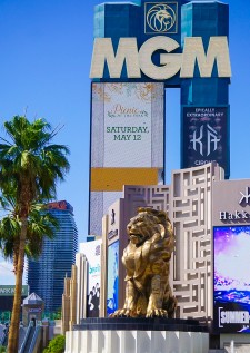 MGM Lion 