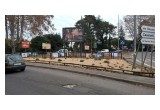 Once an eyesore, this traffic island is now a garden, created by The Way to Happiness Foundation chapter of the Church of Scientology of Rome.