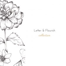 The Letter & Flourish Bible Journaling Collection