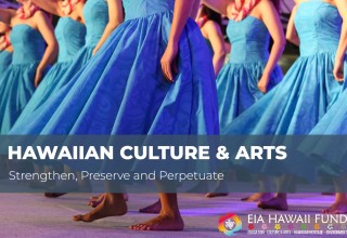 Hawaiian Culture and Arts Initiative