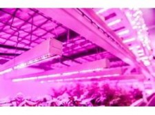 LED Agricultural Grow Lights