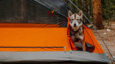 Kings Peak Tent