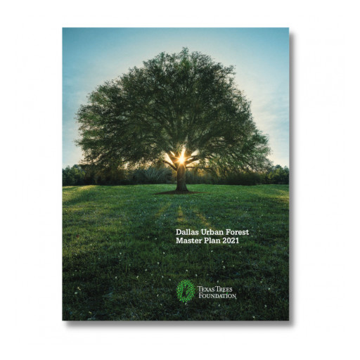 Texas Trees Foundation Celebrates the Adoption of the First Dallas Urban Forest Master Plan