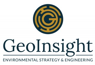 GeoInsight