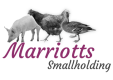 Marriotts Smallholding