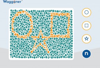 Waggoner CCVT Color Vision Testing Made Easy