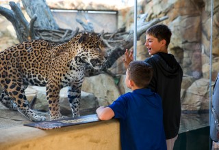 Elmwood Park Zoo