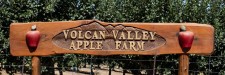 VOLCAN VALLEY APPLE FARM