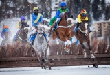 Winter horse race "White Turf" St. Moritz Switzerland