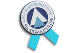 Online Six Sigma Certification From the Aveta Business Institute