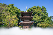 Hotel Chinzanso Tokyo's Three-Story Pagoda