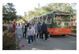 B&B Holiday Tour Trolley