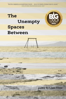 The Unempty Spaces Between by Louis Efron book cover