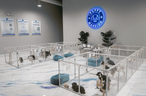 Puppy Mansion Miami: Award-Winning Puppy Store is Redefining the Industry With Innovation, Unparalleled Standards and Service