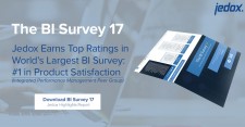 BARC BI Survey 17