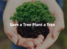 Save a tree plant a tree