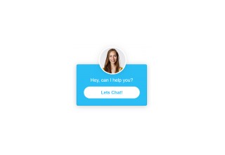 Web Chat Customization