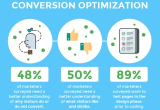 Survey Infographic