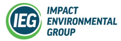 Impact Environmental Group