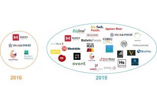 Source: IDTechEx Research Report "Plant-based and cultured meat 2020-2030: technologies, markets and forecasts in novel meat replacements" (www.IDTechEx.com/AltMeat) 