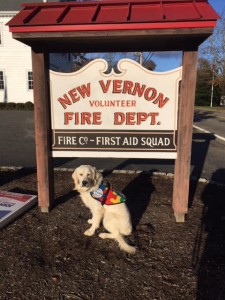 Yazzie, a golden retriever Autism Service Dog