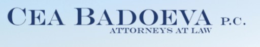 Extraordinary Ability Visa and Investor Visa Questions - Free Consultations From Experienced NYC Law Firm