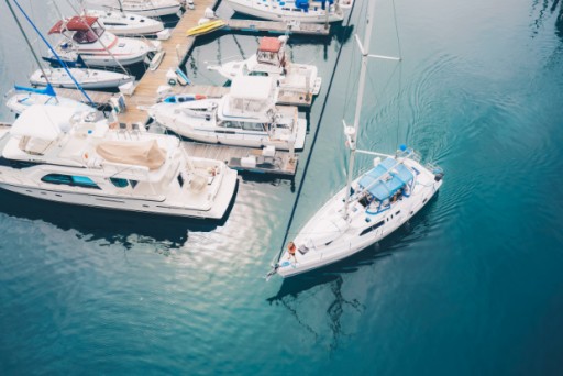 Fun Cat Sailing Promises True San Diego Sightseeing