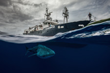 Edwar Herreno, Underwater Photography