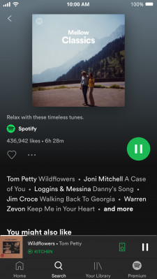 Spotify (Free version) Mellow Classics Now Playing Screenshot