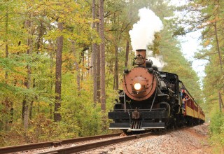 Autumn in the Piney Woods