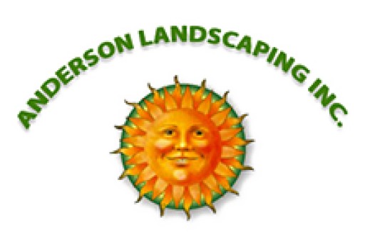 Professional Landscape Design Miami Beach Beautifies Properties