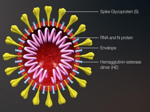 Aalto Bio Reagents Launches New Recombinant Eukaryotic SARS-CoV-2, S1-S2 Spike Proteins for Improved Diagnostic Testing of COVID-19