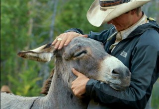 Unbranded follows four young cowboys who ride wild mustangs 