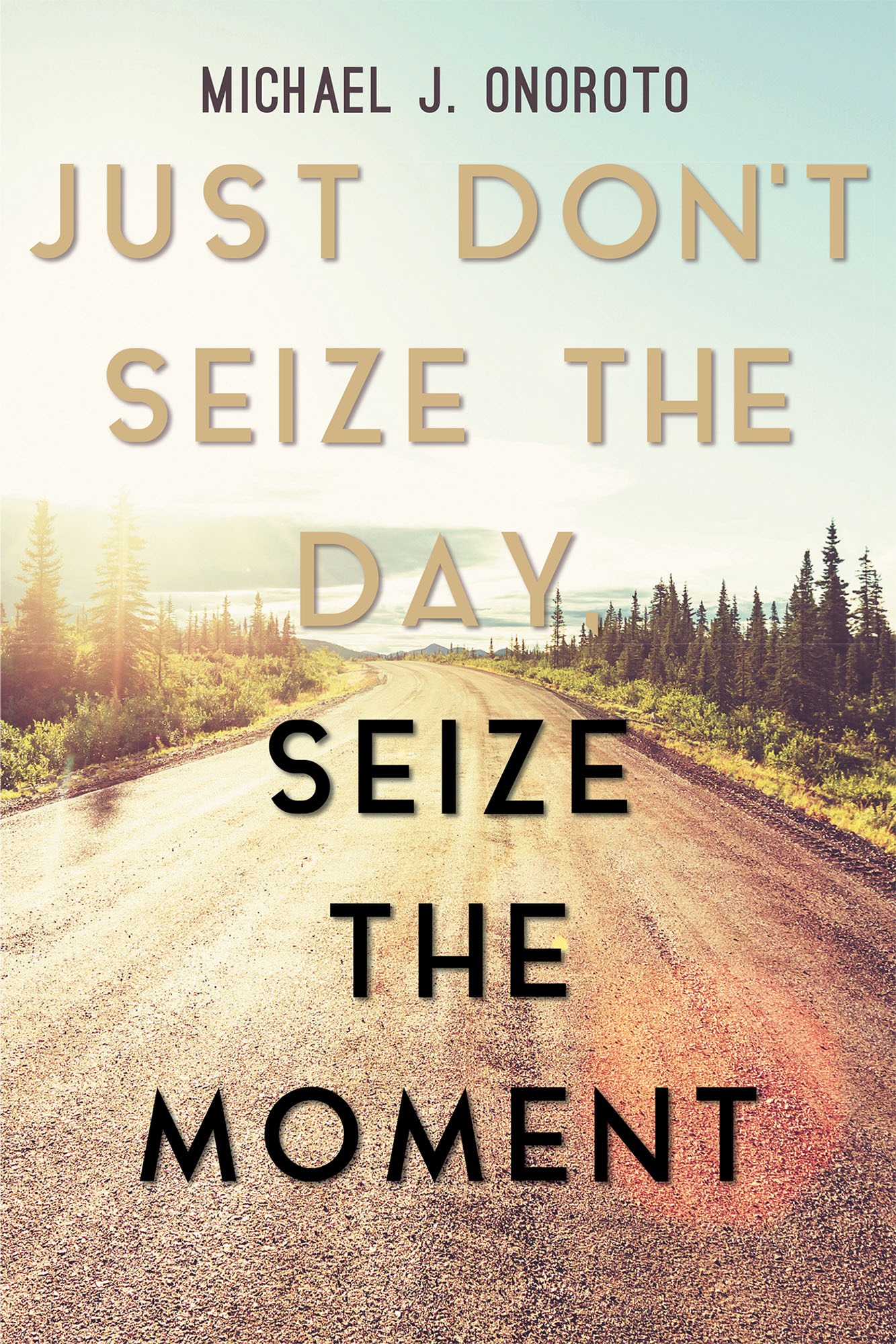 Джаст донт. Motivational book. Just seize the moment. Motivation books in English. Seize the moment эскиз.