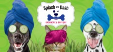 Splash and Dash Groomerie & Boutique 