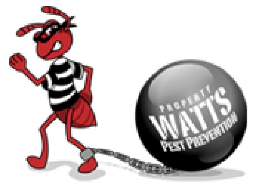 Watts Pest Prevention Offering Comprehensive Pest Control Services at Cost Effective Rates