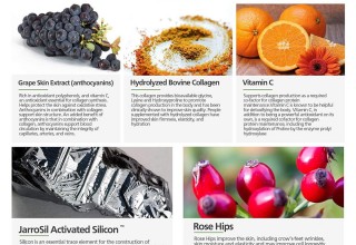 Nutricelebrity ingredients