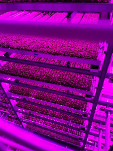 80 Acres Farms' Vertical Farming Technology