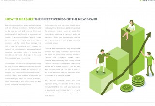 THE STRATEGIC GUIDE TO REBRANDING SUCCESS E-book Preview