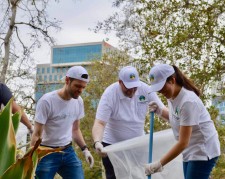 Hollywood cleanup