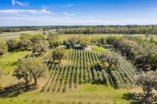 Ocala Ranch with Olive Oil Mill