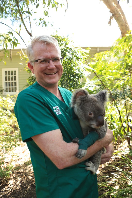 Currumbin Wildlife Hospital and Other Organizations Respond to Australian Brushfire and Wildlife Crisis