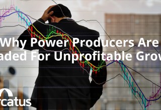 Power Producers are headed for Unprofitable Growth