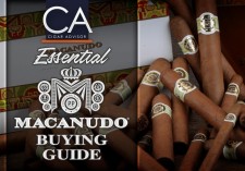 Macanudo Buying Guide