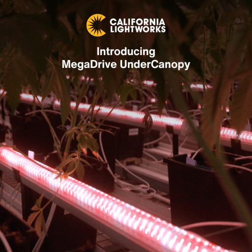 California LightWorks Launches MegaDrive UnderCanopy LED System to Boost Yield and Optimize Plant Growth