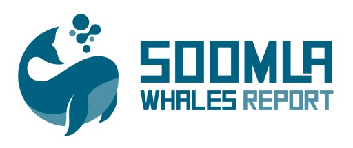 SOOMLA raises $5.5M to help game developers catch whales