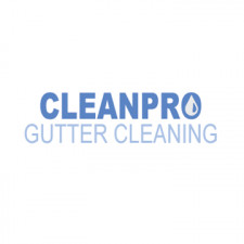 Clean Pro Gutter Cleaning Logo