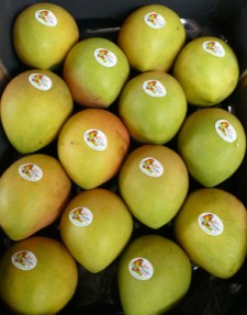 Plantations International Kensington Pride Mangoes