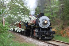 Dogwoods in Bloom Along Texas State Railroad