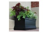 Bloomz Box - Black